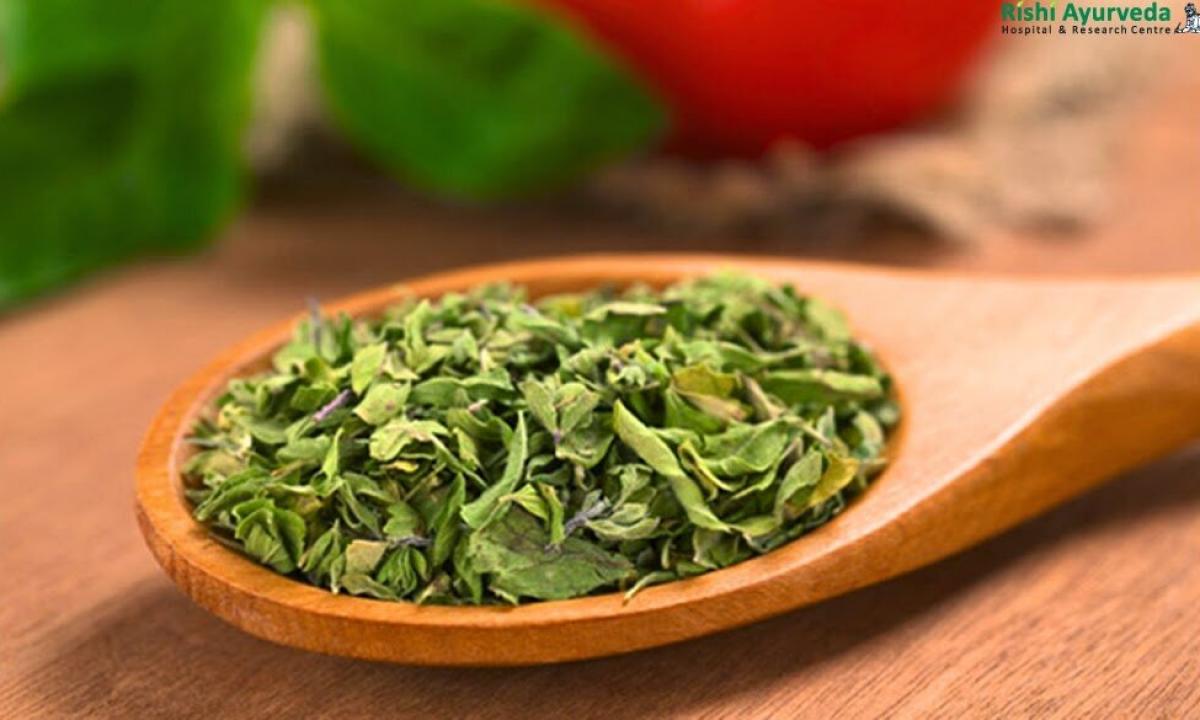 Oregano (seasoning): advantage and harm to what dishes to add